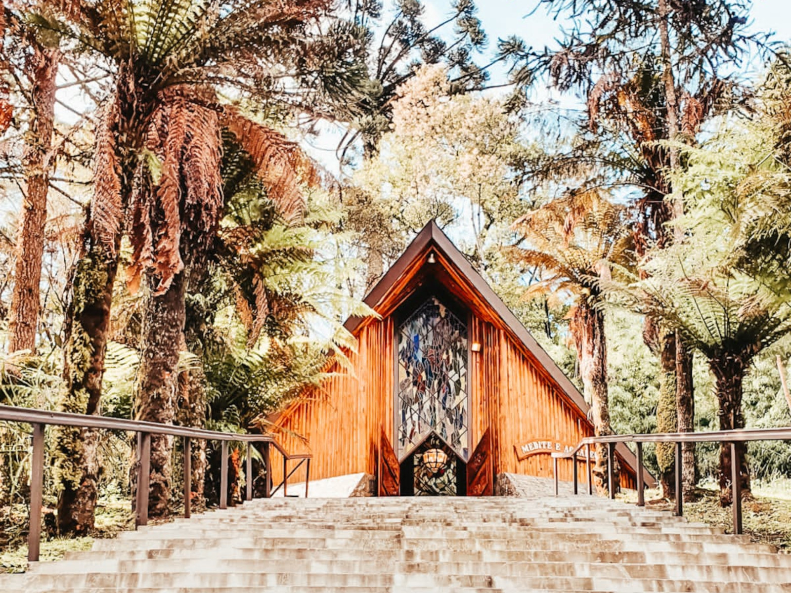 floresta-rene-frey-05