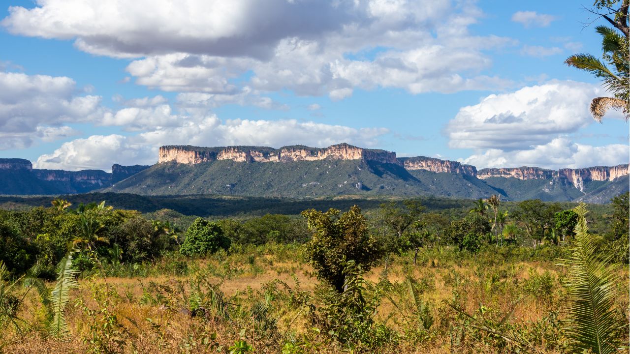 Foto com credito (28)